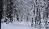 Tour Zu Fuß Rödinghausen - Silvesterlauf - Photo 9