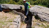 Trail Walking Chanac - Rando..Chanac..Causses de Sauveterre..16/05/2024 - Photo 8