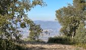 Tour Wandern La Roque-d'Anthéron - PF-La-Roque-d'Anthéron - La Chaîne des Côtes - Reco - Photo 20