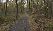 Trail On foot Lanaken - Pietersheim Rode driehoek - Photo 5