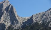 Percorso A piedi Dorgali - (SI Z14) Sa Barva – Monte Maccione - Photo 2