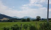 Randonnée Cyclotourisme Saint-Pé-de-Bigorre - St-Pé-de-Bigorre - Oloron - Photo 11