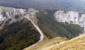 Excursión Senderismo Omblèze - Le tour du Roc de Toulau - Photo 14