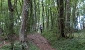 Tour Wandern Hamoir - Hamoir - Croix du curé - Sy - Lassus - Hamoir - Photo 1