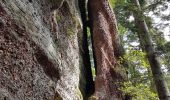 Tour Wandern Langstein - Lac de la Pierre-Percée - château de Salm - grotte des Poilus et l'observatoire - Photo 16