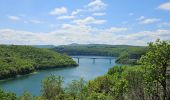 Excursión Senderismo La Tour-du-Meix - A la découverte du lac de Vouglans 🥾 - Photo 3