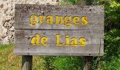 Trail Walking Vignec - les granges de Lias - Photo 1