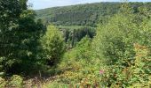 Tour Wandern Chiny - Chiny via Burnéchamps - Photo 17