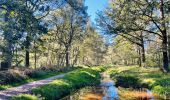 Tocht Stappen Bilzen - munsterbos-startplaats-munsterbilzen-dorp-rood - Photo 1