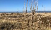 Tocht Stappen Nieuwpoort - Ter duinen - Photo 6