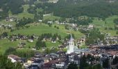 Tocht Te voet Cortina d'Ampezzo - Hotel Serena - Mandres - Lago Scin - Photo 8