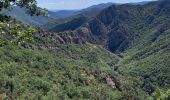 Tocht Stappen Pourcharesses - au coeur des gorges du chassezac au départ de Villefort  - Photo 6