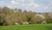 Tour Mountainbike Walcourt - Balade dans l'entité de Walcourt  - Photo 8