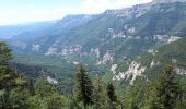 Randonnée Marche Romeyer - Dieois - Rochers de plautret - Jul20 - Photo 9