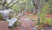 Trail Walking Saint-Fargeau-Ponthierry - rando Pringy Bois le Roi - Photo 1