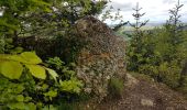 Excursión Senderismo Oberlarg - Oberlarg - sa grotte - la ferme des Ebourbettes - le château de Morimont - Photo 14