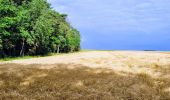 Randonnée Marche Le Vaudoué - Boucle autour de Le Vaudoue - Photo 15