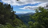 Percorso Marcia São Jorge - Levada del Rei - Photo 10