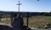 Tour Wandern Peyre en Aubrac - le rocher du Cher - Photo 18