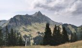 Trail Walking Saint-Jean-d'Aulps - Sommet des Têtes avec descente à Graydon - Photo 2