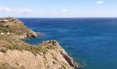 Trail Walking Port-Vendres -  Cap Bear paulilles_T - Photo 1