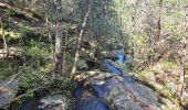 Trail Walking Bessèges - GRP Haute Vallée de la Cèze  - Photo 10