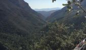 Excursión Senderismo Sales de Llierca - Sadernes Sant Aniol  - Photo 2