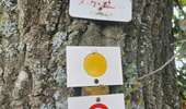 Trail Equestrian Porcelette - Wikiloc - Porcelette - Grotte des russes - Photo 6