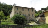 Percorso A piedi Val Liona - Sentiero di villa del Ferro - Photo 1