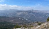 Trail Walking Courmes - Courmes  - Photo 19