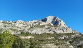 Tocht Stappen Le Tholonet - Le Tholonet -La Croix de Provence Par les Lacs Zola et Bimont - Photo 10