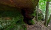 Percorso A piedi Sankt Ingbert - Hasen-Rundwanderweg Oberwürzbach - Photo 10