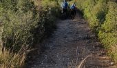 Tocht Stappen Sainte-Anastasie - Régordane 8 - Ste Anastasie-Nimes - Photo 5