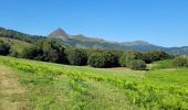 Trail Walking Saint-Jacques-des-Blats - st Jacques des béats les boissines  - Photo 2