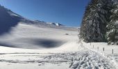 Excursión Raquetas de nieve Bouvante - Chaud Clapier - Photo 6