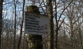 Trail Walking Sentheim - Haut Soultzbach - Photo 9