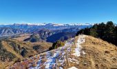 Randonnée Marche Turriers - Grande Gautière et Pointe d'Eyrolle - Photo 9