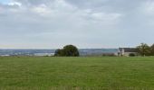 Tour Wandern Weset - Lanaye 20 km - Photo 13