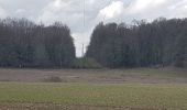 Randonnée Marche Maraye-en-Othe - forêt chenu - Photo 4