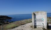 Randonnée Marche Quiberon - GR34 Quiberon-Penthièvre par la côte sauvage - Photo 8