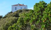 Excursión Senderismo Cavalaire-sur-Mer - Plage du Bonporteau et du Rayol - Photo 8