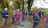 Excursión Senderismo Châteldon - CLD - GM Le 16/11/2021 - Photo 3