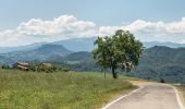 Percorso A piedi Canossa - Vedriano - La Strada - M. Staffola - Braglie - Costa - Photo 2