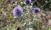 Excursión Senderismo Sault - Monieux le Vallat du Loup - Photo 6