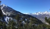 Excursión Raquetas de nieve Montgenèvre - Bois de Sestrières - Photo 2