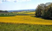 Tour Zu Fuß Donnemarie-Dontilly - Montereau - Donnemarie Dontilly Linéaire 30 km - Photo 7