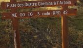 Trail Walking Moulinet - Bois Noir au départ de Cabanes Vieilles - Photo 8