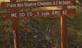 Tocht Stappen Moulinet - Bois Noir au départ de Cabanes Vieilles - Photo 8