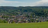 Tocht Te voet Wächtersbach - Grenzstein-Rundwanderweg Ost - Photo 1