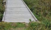 Tocht Stappen Moulinet - Bois Noir au départ de Cabanes Vieilles - Photo 1